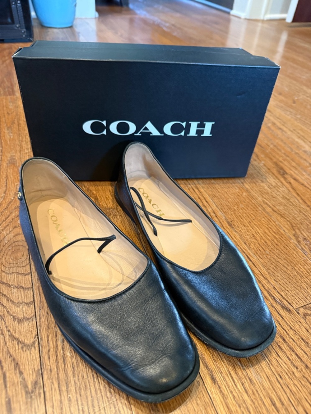 Coach Emilia Leather Mary Jane